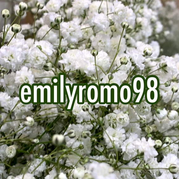 emilyromo98